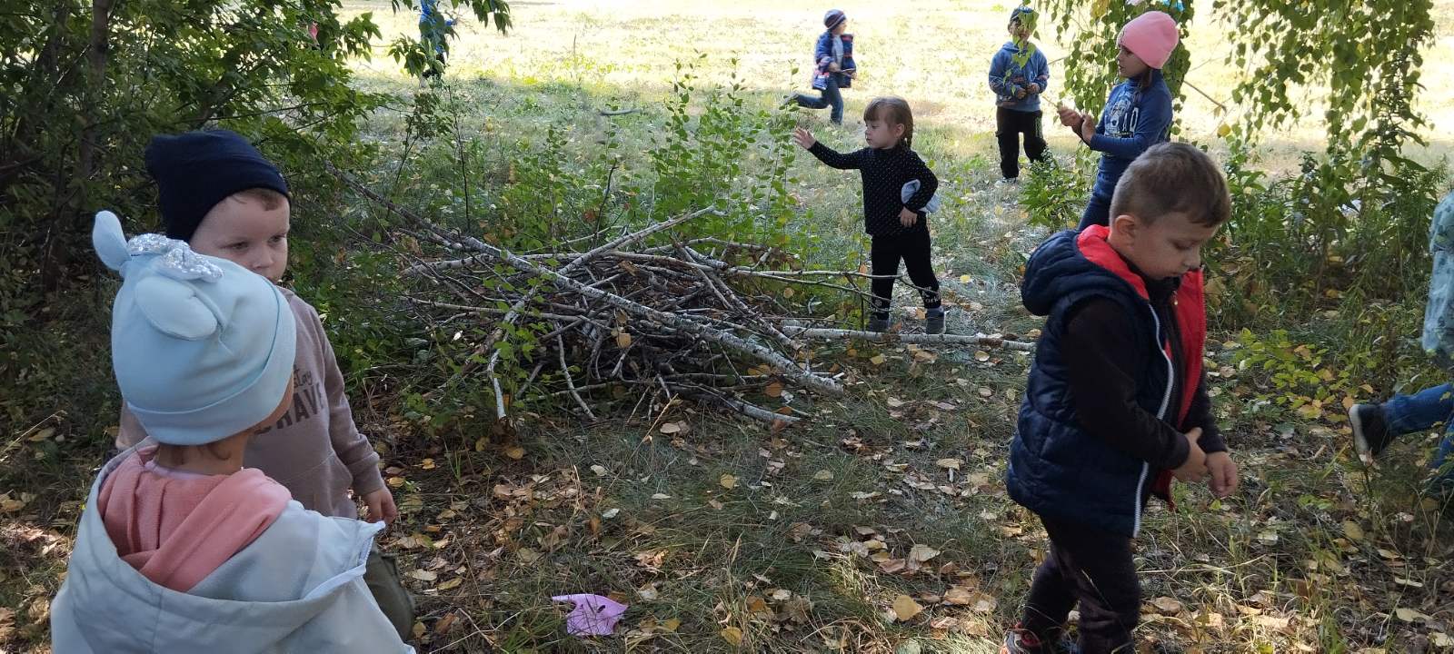 Друзья леса» | СПДС «Колосок» ГБОУ СОШ пос. Комсомольский